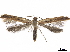  ( - CCDB-34789-H07)  @11 [ ] CreativeCommons - Attribution (2020) CBG Photography Group Centre for Biodiversity Genomics