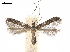  ( - CCDB-34790-A08)  @11 [ ] CreativeCommons - Attribution (2019) CBG Photography Group Centre for Biodiversity Genomics