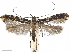  ( - CCDB-34790-A10)  @11 [ ] CreativeCommons - Attribution (2019) CBG Photography Group Centre for Biodiversity Genomics