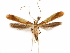  ( - CCDB-34790-B03)  @11 [ ] CreativeCommons - Attribution (2019) CBG Photography Group Centre for Biodiversity Genomics
