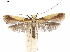  ( - CCDB-34790-B04)  @11 [ ] CreativeCommons - Attribution (2019) CBG Photography Group Centre for Biodiversity Genomics