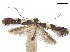  ( - CCDB-34790-B10)  @11 [ ] CreativeCommons - Attribution (2019) CBG Photography Group Centre for Biodiversity Genomics