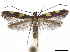  ( - CCDB-34790-B11)  @11 [ ] CreativeCommons - Attribution (2019) CBG Photography Group Centre for Biodiversity Genomics