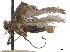  ( - CCDB-34791-A02)  @11 [ ] CreativeCommons - Attribution (2020) CBG Photography Group Centre for Biodiversity Genomics