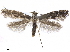  ( - CCDB-34791-A12)  @14 [ ] CreativeCommons - Attribution (2020) CBG Photography Group Centre for Biodiversity Genomics