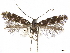 ( - CCDB-34791-B02)  @11 [ ] CreativeCommons - Attribution (2020) CBG Photography Group Centre for Biodiversity Genomics