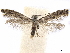  ( - CCDB-34791-B08)  @11 [ ] CreativeCommons - Attribution (2020) CBG Photography Group Centre for Biodiversity Genomics