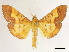  ( - CCDB-34793-H04)  @11 [ ] CreativeCommons - Attribution (2020) CBG Photography Group Centre for Biodiversity Genomics