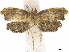  ( - CCDB-34794-B09)  @11 [ ] CreativeCommons - Attribution (2020) CBG Photography Group Centre for Biodiversity Genomics