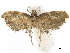  ( - CCDB-34794-B10)  @11 [ ] CreativeCommons - Attribution (2020) CBG Photography Group Centre for Biodiversity Genomics