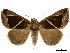  ( - CCDB-34794-E09)  @11 [ ] CreativeCommons - Attribution (2020) CBG Photography Group Centre for Biodiversity Genomics