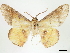  ( - CCDB-34794-G08)  @11 [ ] CreativeCommons - Attribution (2020) CBG Photography Group Centre for Biodiversity Genomics