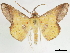  ( - CCDB-34794-G09)  @11 [ ] CreativeCommons - Attribution (2020) CBG Photography Group Centre for Biodiversity Genomics
