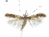  ( - CCDB-35905-B01)  @11 [ ] CreativeCommons - Attribution (2020) CBG Photography Group Centre for Biodiversity Genomics