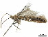  ( - CCDB-35905-B02)  @11 [ ] CreativeCommons - Attribution (2020) CBG Photography Group Centre for Biodiversity Genomics