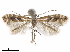  ( - CCDB-35907-A03)  @11 [ ] CreativeCommons - Attribution (2020) CBG Photography Group Centre for Biodiversity Genomics