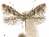  ( - CCDB-35907-A04)  @11 [ ] CreativeCommons - Attribution (2020) CBG Photography Group Centre for Biodiversity Genomics
