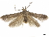 ( - CCDB-35907-G03)  @11 [ ] CreativeCommons - Attribution (2020) CBG Photography Group Centre for Biodiversity Genomics