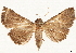  ( - CCDB-35909-B04)  @11 [ ] CreativeCommons - Attribution (2020) CBG Photography Group Centre for Biodiversity Genomics