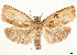  ( - CCDB-35909-F02)  @14 [ ] CreativeCommons - Attribution (2020) CBG Photography Group Centre for Biodiversity Genomics