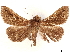  ( - CCDB-35911-B09)  @11 [ ] CreativeCommons - Attribution (2020) CBG Photography Group Centre for Biodiversity Genomics