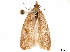  ( - CCDB-35911-G03)  @13 [ ] CreativeCommons - Attribution (2020) CBG Photography Group Centre for Biodiversity Genomics