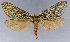 ( - CCDB-34954-H08)  @11 [ ] CreativeCommons - Attribution Share-Alike (2019) Unspecified Smithsonian Institution National Museum of Natural History