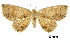  ( - USNM ENT 01920196)  @11 [ ] Unspecified (default): All Rights Reserved  Unspecified Unspecified