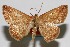  ( - USNM ENT 01920199)  @11 [ ] Unspecified (default): All Rights Reserved  Unspecified Unspecified