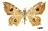  ( - USNM ENT 01920360)  @11 [ ] Unspecified (default): All Rights Reserved  Unspecified Unspecified