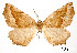  ( - USNM ENT 01920211)  @11 [ ] Unspecified (default): All Rights Reserved  Unspecified Unspecified