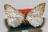  (Taeniogramma melanorrhoea - USNM ENT 01920372)  @11 [ ] Unspecified (default): All Rights Reserved  Unspecified Unspecified