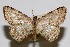  ( - USNM ENT 01920373)  @11 [ ] Unspecified (default): All Rights Reserved  Unspecified Unspecified