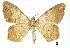  ( - USNM ENT 01920407)  @11 [ ] Unspecified (default): All Rights Reserved  Unspecified Unspecified