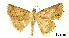  ( - USNM ENT 01920251)  @11 [ ] Unspecified (default): All Rights Reserved  Unspecified Unspecified