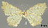  ( - USNM ENT 01920421)  @11 [ ] Unspecified (default): All Rights Reserved  Unspecified Unspecified