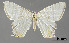 ( - USNM ENT 01920422)  @11 [ ] Unspecified (default): All Rights Reserved  Unspecified Unspecified