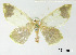  ( - USNM ENT 01920503)  @11 [ ] Unspecified (default): All Rights Reserved  Unspecified Unspecified
