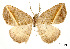  ( - USNM ENT 01920275)  @11 [ ] Unspecified (default): All Rights Reserved  Unspecified Unspecified