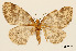  ( - USNM ENT 01920276)  @11 [ ] Unspecified (default): All Rights Reserved  Unspecified Unspecified