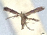 ( - CCDB-37887-C08)  @11 [ ] CreativeCommons - Attribution Share - Alike (2024) CBG Photography Group Centre for Biodiversity Genomics