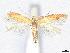  ( - CCDB-37887-D08)  @11 [ ] CreativeCommons - Attribution Share - Alike (2024) CBG Photography Group Centre for Biodiversity Genomics