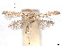 ( - CCDB-37887-F10)  @11 [ ] CreativeCommons - Attribution Share - Alike (2024) CBG Photography Group Centre for Biodiversity Genomics
