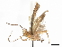  ( - CCDB-37888-B09)  @11 [ ] CreativeCommons - Attribution (2024) CBG Photography Group Centre for Biodiversity Genomics