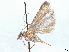  ( - CCDB-37888-C04)  @11 [ ] CreativeCommons - Attribution (2024) CBG Photography Group Centre for Biodiversity Genomics
