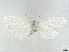  ( - CCDB-37888-F03)  @11 [ ] CreativeCommons - Attribution (2024) CBG Photography Group Centre for Biodiversity Genomics