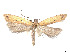  ( - CCDB-37900-G11)  @11 [ ] CreativeCommons - Attribution Share - Alike (2024) CBG Photography Group Centre for Biodiversity Genomics