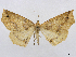  ( - CCDB-37902-E09)  @11 [ ] CreativeCommons - Attribution (2024) CBG Photography Group Centre for Biodiversity Genomics
