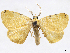  ( - CCDB-37902-F03)  @11 [ ] CreativeCommons - Attribution (2024) CBG Photography Group Centre for Biodiversity Genomics