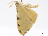  ( - CCDB-37902-F05)  @11 [ ] CreativeCommons - Attribution (2024) CBG Photography Group Centre for Biodiversity Genomics